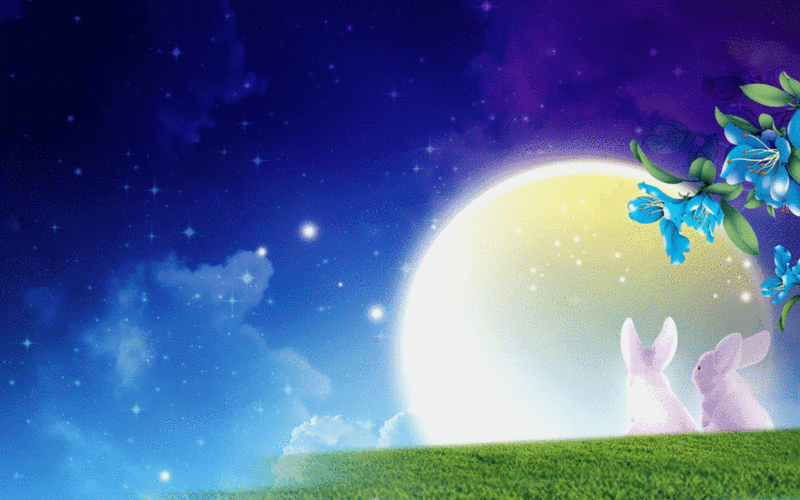 win7可爱动态小动物,高清图片,系统壁纸,win7-回车桌面