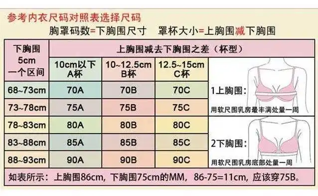 高品质女士文胸都市同款内衣女文胸无钢圈聚拢小胸防下垂上托无钢圈