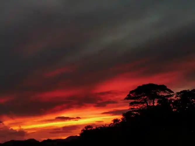 终于被我逮到了——火烧云吧98