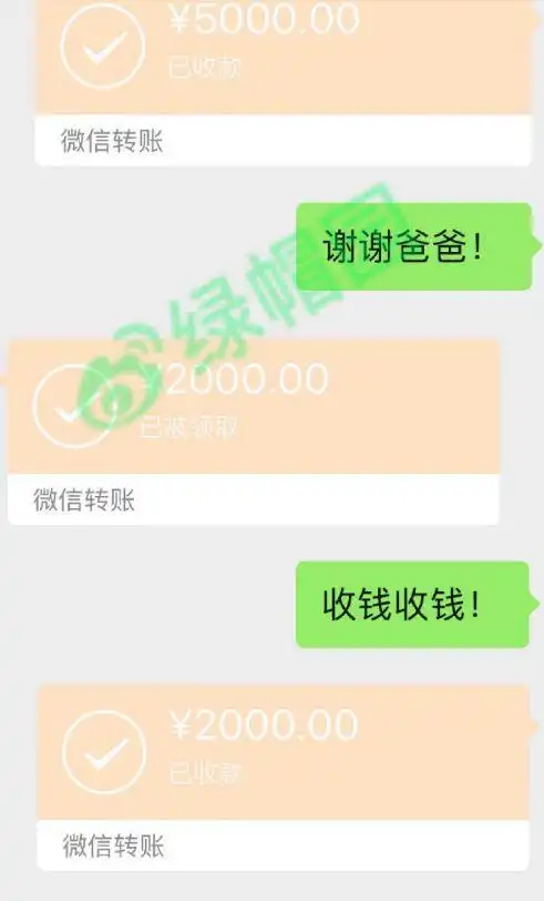 一直未能见面,在这鞭长莫及的寂寞日子里,男主前前后后给女主转账20万