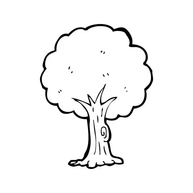 树,向量,在白色背景上的卡通树