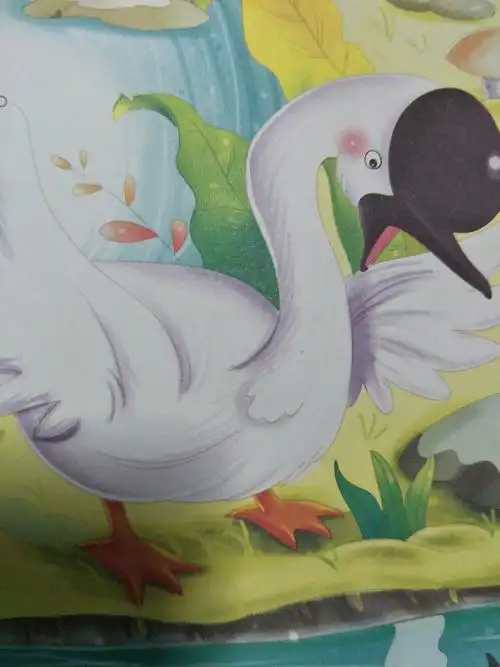 丑小鸭最终变成美丽的白天鹅!