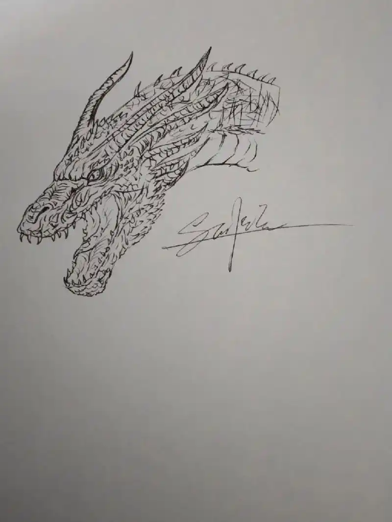 手绘基多拉 给我弟弟画一个基多拉,笔快没水了,画的不是很理想,求大佬