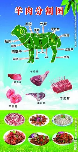 羊肉分割图图片