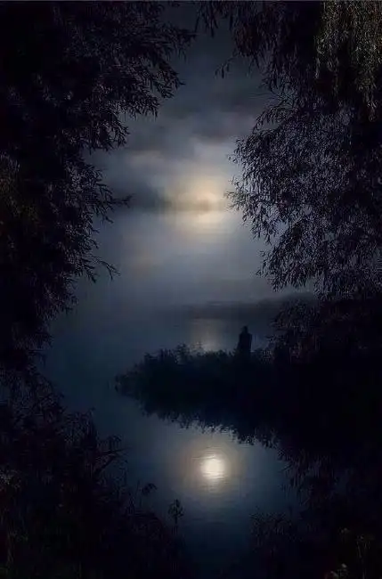 孤月曲柳酒不停,醉尽人间愁苦意|浊酒|月华|仗剑_新浪新闻