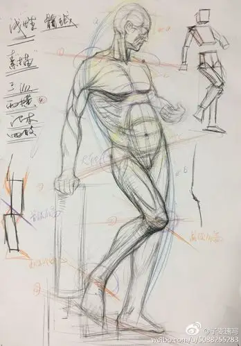 人体速写素描结构形态解析图