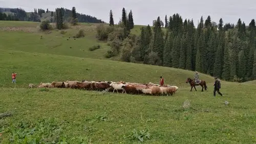 那拉提草原__新疆哈萨克的家园