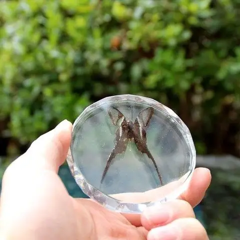 人手工做昆虫琥珀标本制作水晶滴胶水的diy材料透明自制树脂