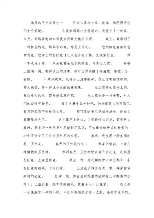 春天的玉兰花作文.docx