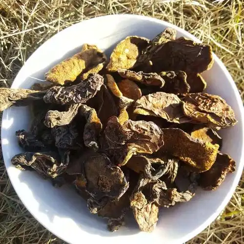 大兴安岭东北特产干货食用野生牛肝菌蘑菇黄粘团子500g