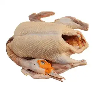 【山鸡凰】番鸭母土番鸭肉质比较好 券    券后  86.