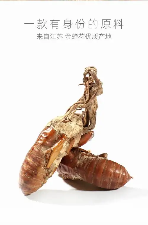 同仁堂同仁堂金蝉花250g中药材2019新货知了花金蚕花虫草粉特级500g