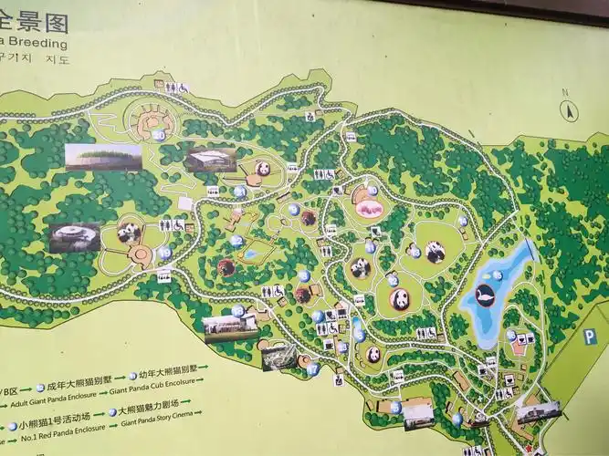 熊猫基地地图,最值得去就是月亮产房和太阳产房.