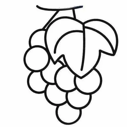 40种水果简笔画 画100种水果简笔画 简笔画图片大全-蒲城教育文学网