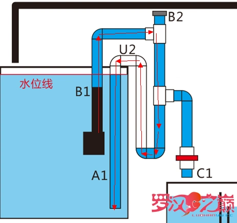 虹吸排水正确的使用方法--流氓讲解 - 鱼缸器材 - 龙巅罗汉鱼