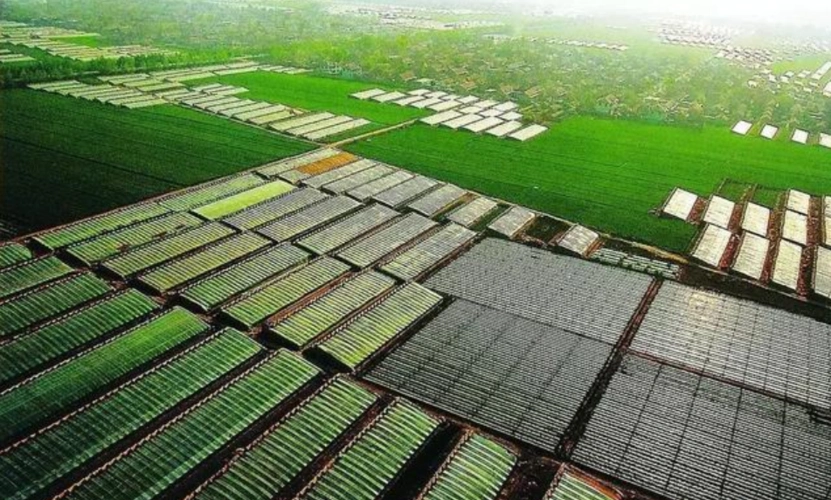 张建军数字经济如何加速农业农村的现代化