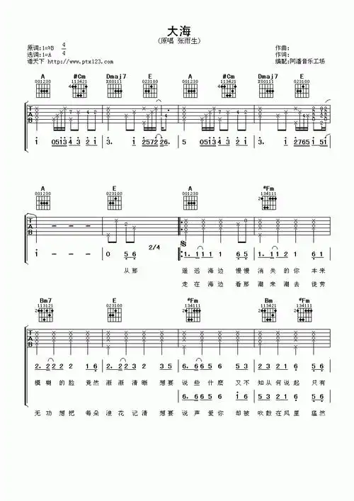 张雨生《大海》吉他谱 曲谱图片第1张