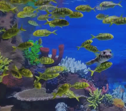 长沙海底世界即将恢复开园敬请期待