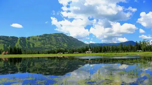 号称中国最美湖泊一个小湖就惊艳到我们杉树长满丝絮