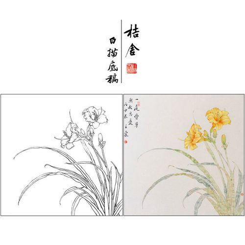 王震工笔画白描底稿萱草小品带步骤图及用色说明国画临摹画稿wz22