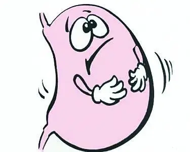 写给那些被胃酸折磨许久的人们