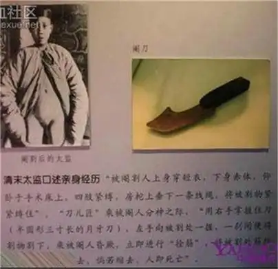 【新太监的泛滥,实在让人担心让人忧】