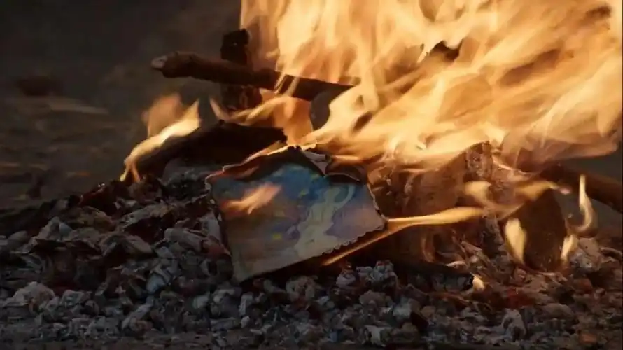 9.5高分回归,蓝色仙女烧成了灰烬