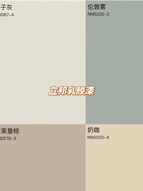 立邦漆  #刷墙漆  #我的装修记录 #我的装修日记房子入住已经有大