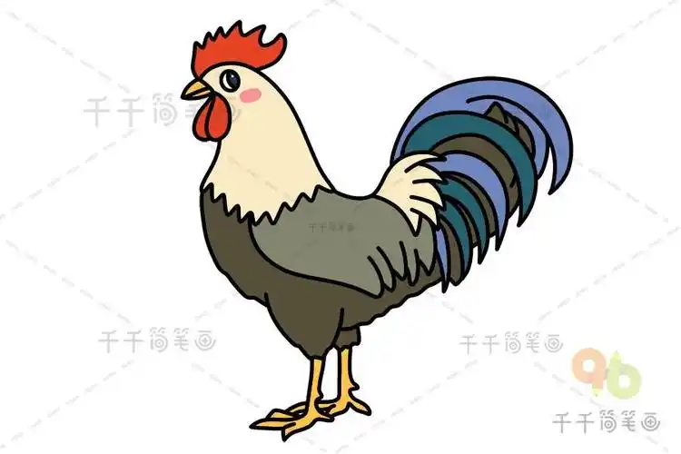 山羊公鸡的简笔画