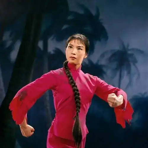 自制字幕第13部|1970年舞剧电影《红色娘子军》:只有解放全人类才能.