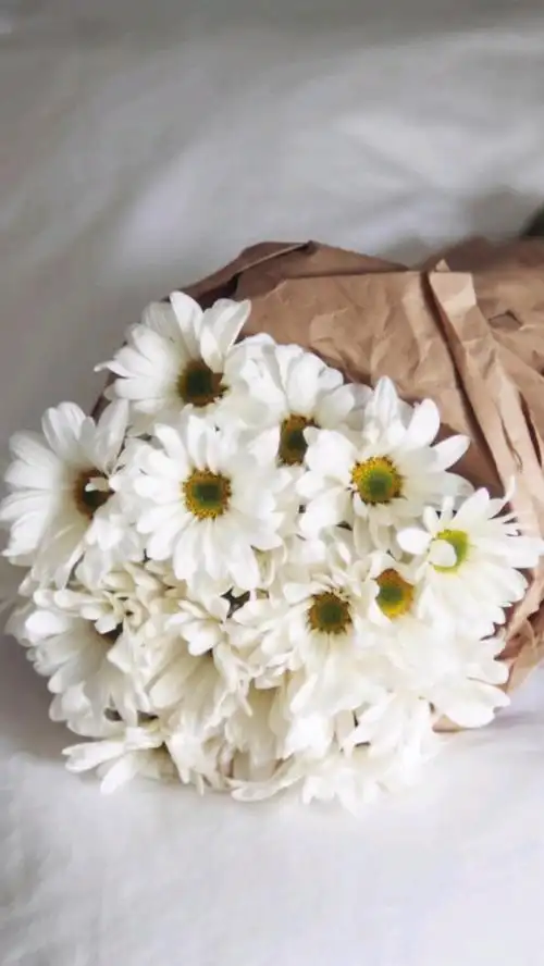 春天文艺小清新句子适合发朋友圈的春天唯美说说3