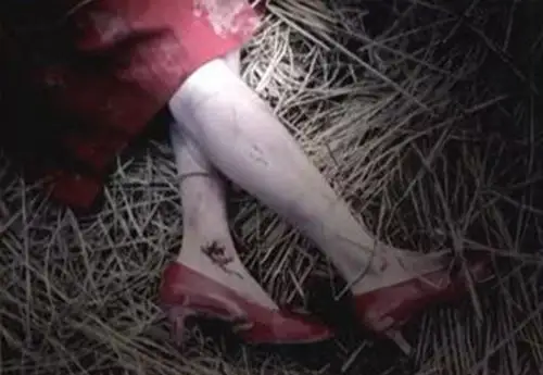 4个年轻女孩在山洞集体被杀:歹徒对她们狂刺60多刀究竟为什么?