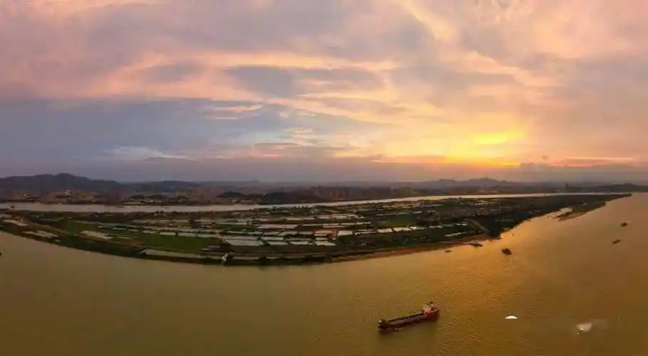 西樵山下的乡村振兴征文之世外桃源平沙岛