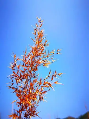 晴天- 永恒的阳光sunshine - 图虫