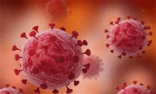 犬副流感病毒感染及实验室诊断