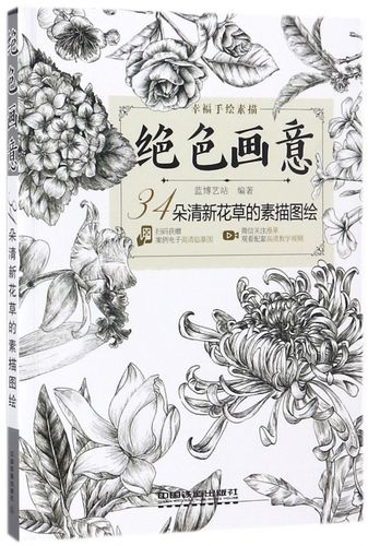 绝色画意(34朵清新花草的素描图绘) 博库网