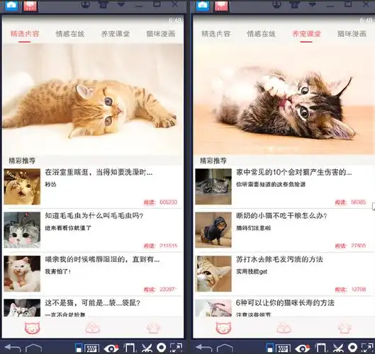 软件特色: 猫咪社区电脑版是专为爱猫养猫人士提供的分享平台.