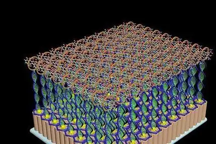 二氧化钛晶胞结构示意图