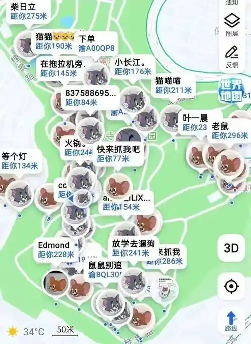 猫鼠大战,2023年第十期职工交友暨民族团结联谊活动报名啦~_游戏_老鼠