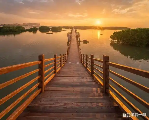 茂名适合自驾游的十大景点