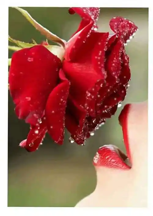 岁月静好浅笑安然什么意思(浅笑安然寓意是啥)