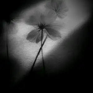 回忆里的伤头像