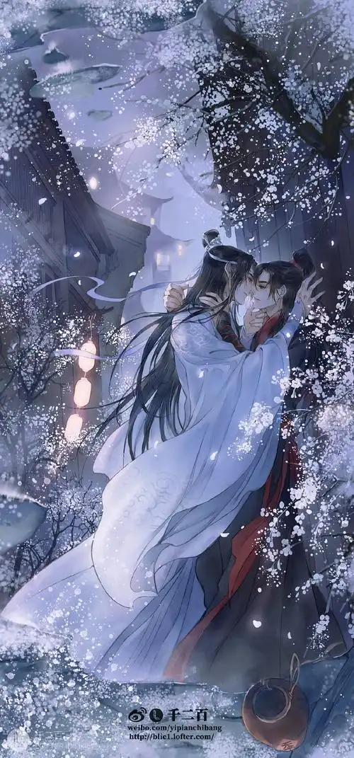 魔道祖师忘羡蓝忘机魏无羡