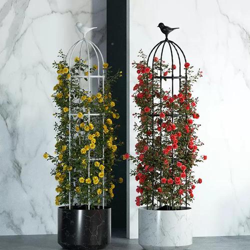 玫瑰花架落地 塑dxl料支架大型花卉花盆月铁线莲固撑定支季架爬藤