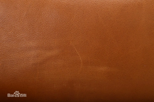 棕色图片_百度百科