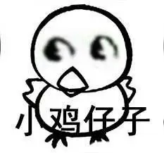 小鸡仔子 - 小兔崽子,小狗蛋子,王八羔子 67_打招呼_怼人表情表情