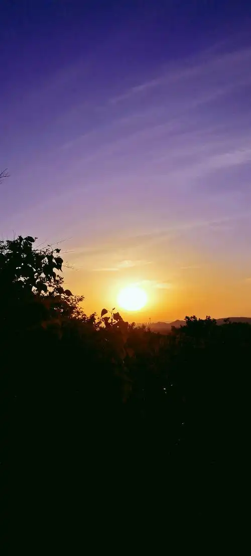 晴朗的天空中高高升起了金灿灿的太阳