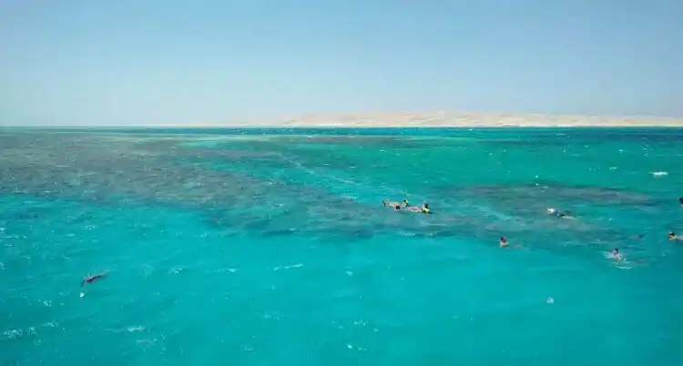 链接着非洲与亚洲,也连接着地中海和阿拉伯海,沙漠侧畔的红海,对于