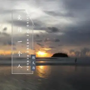 爱错一个人