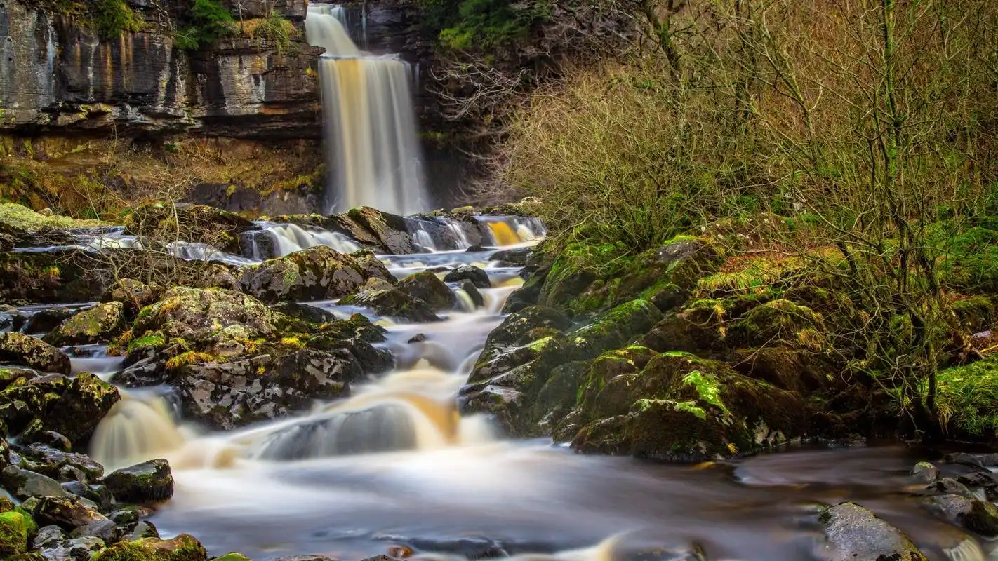 精选静谧山谷里的溪流高清桌面壁纸图片